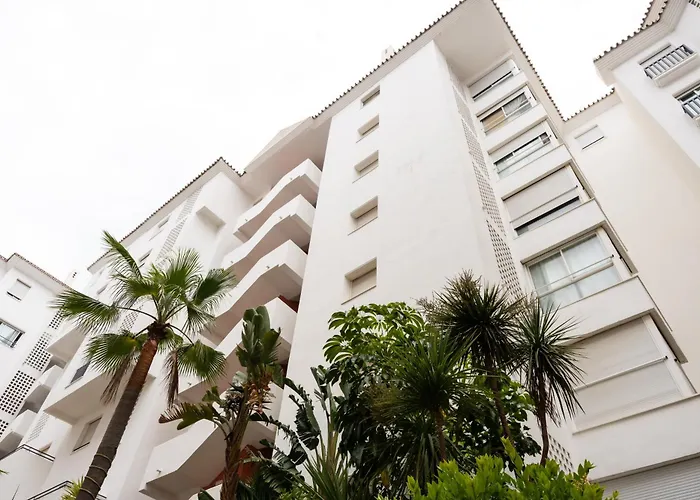 Medina Garden Sunset *