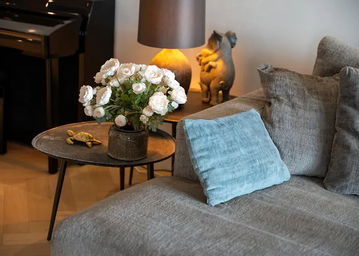 Medina Garden Sunset *